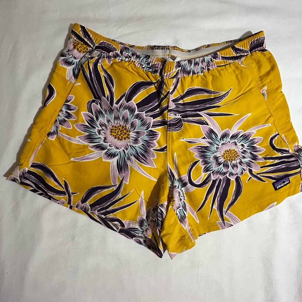 Patagonia baggies shorts